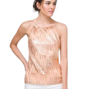 White House Black Market Embellished Mesh Top Rose Gold Size NWOT Large